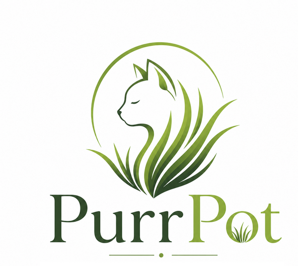 PurrPot - Premium Car Grass Set