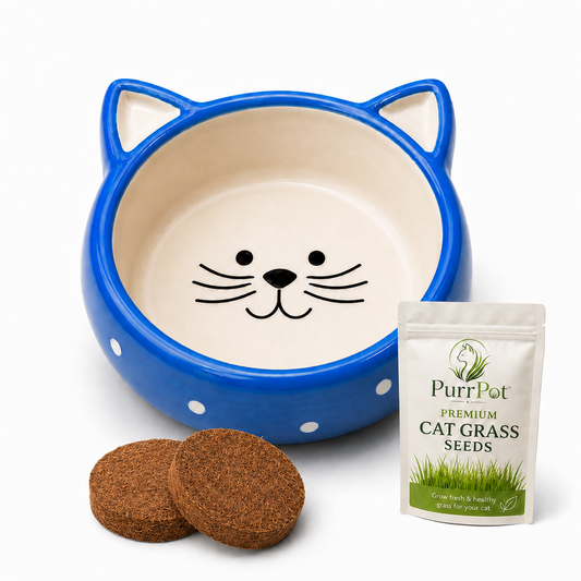 Cat Grass Growing Kit – Ceramic Bowl with Premium Seeds & Coconut Coir